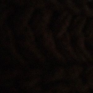 Meet your Posher, Malkie